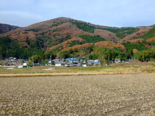 f0147025_7524661.jpg
