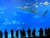 a0038930_14454069.jpg