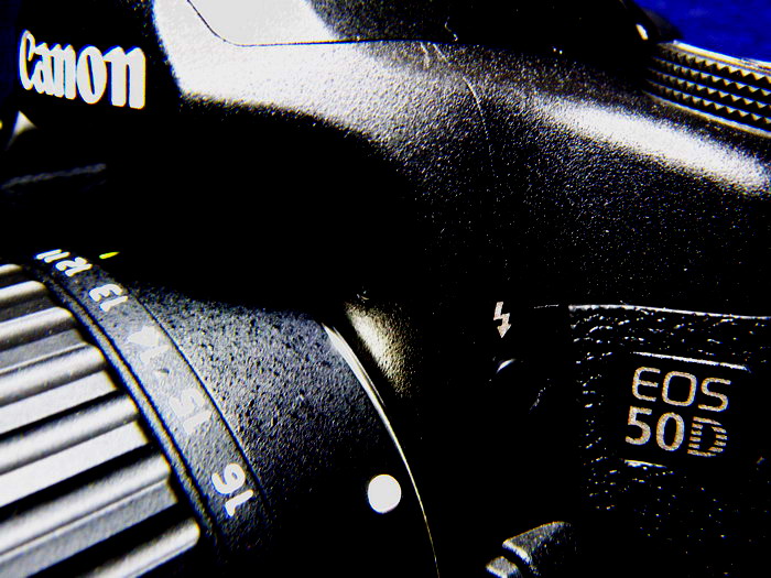 c0090530_972883.jpg