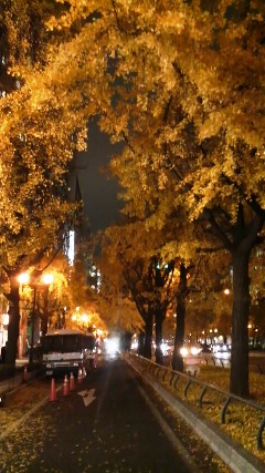 f0192531_2234285.jpg