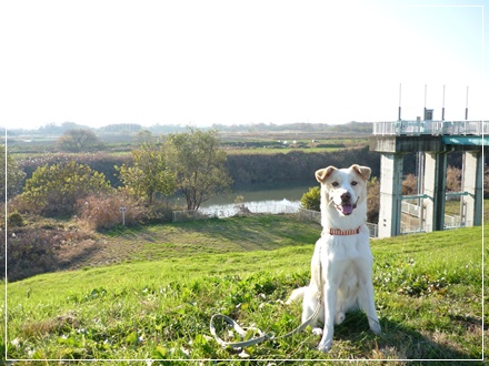 d0140133_10193863.jpg