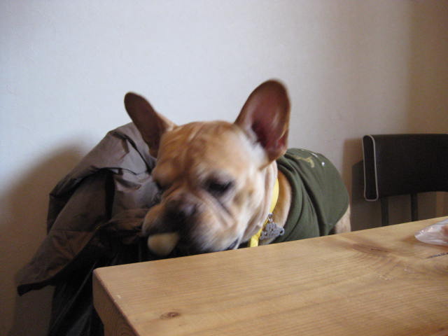 f0090344_22523299.jpg