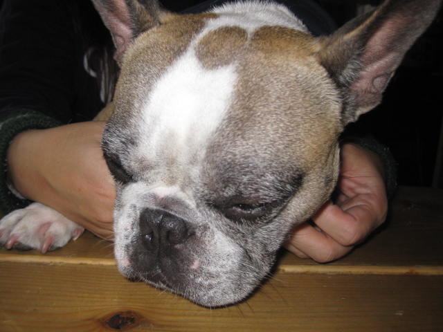 f0090344_23101671.jpg