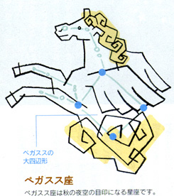 f0077054_214536.jpg