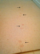 c0052756_22422719.jpg