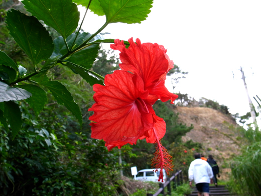 b0062363_2103599.jpg