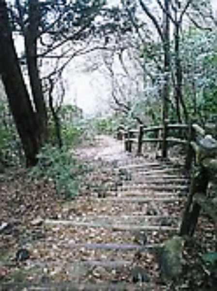e0179867_184237.jpg