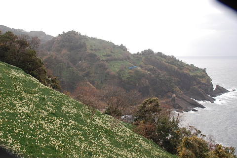 c0022275_16503348.jpg
