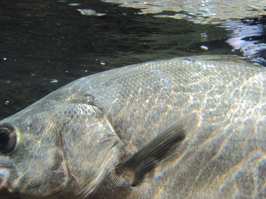b0165778_10332644.jpg