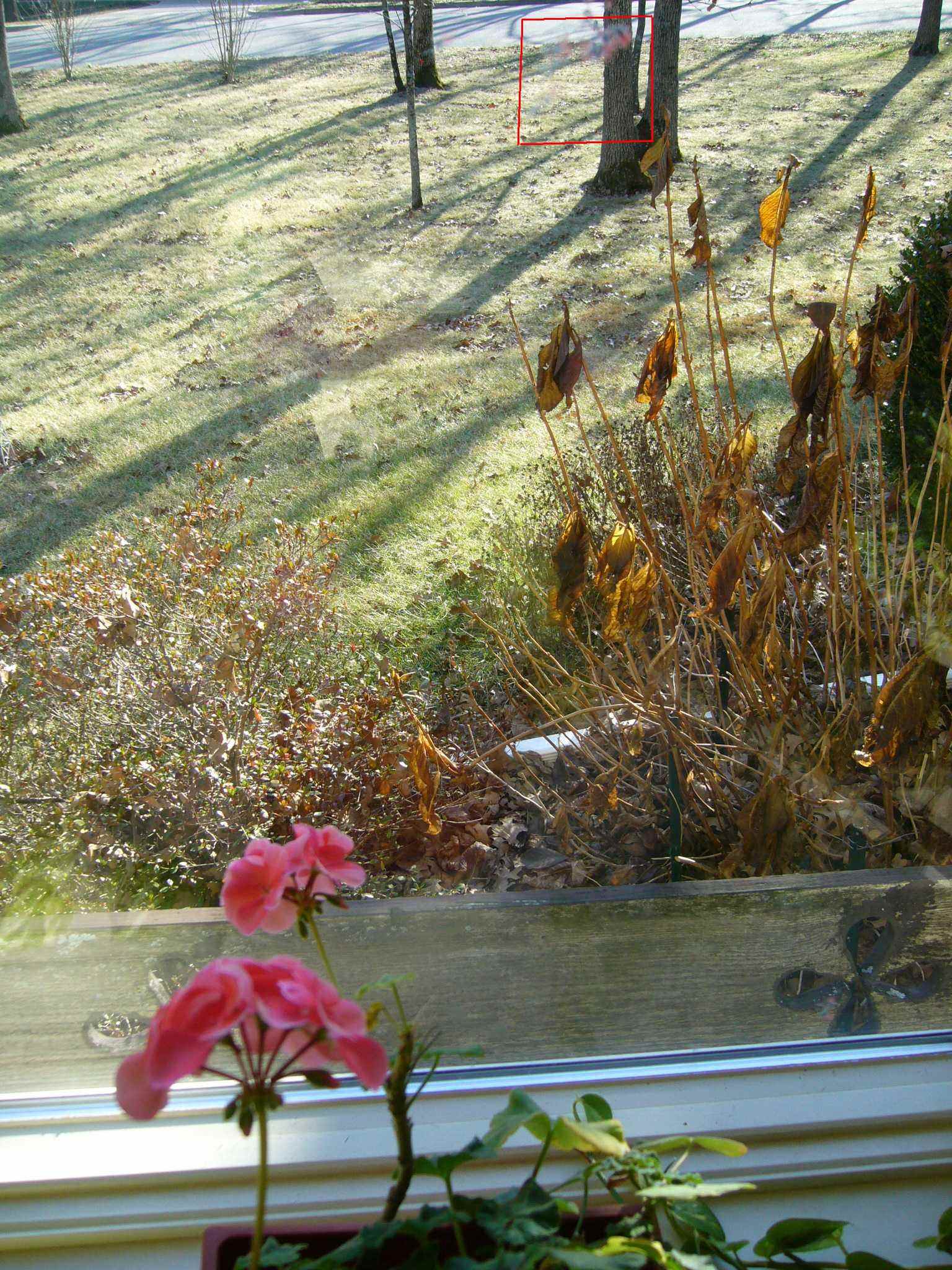f0169397_8385271.jpg