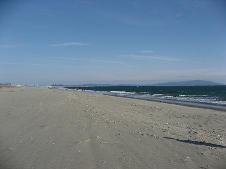 a0125598_20144813.jpg