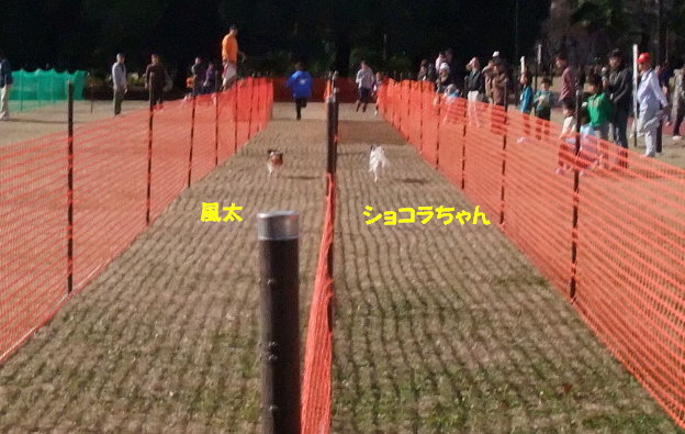 c0044199_2201440.jpg