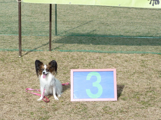 c0044199_22431189.jpg