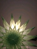 c0229402_1716383.jpg