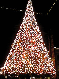 f0079202_11431386.jpg