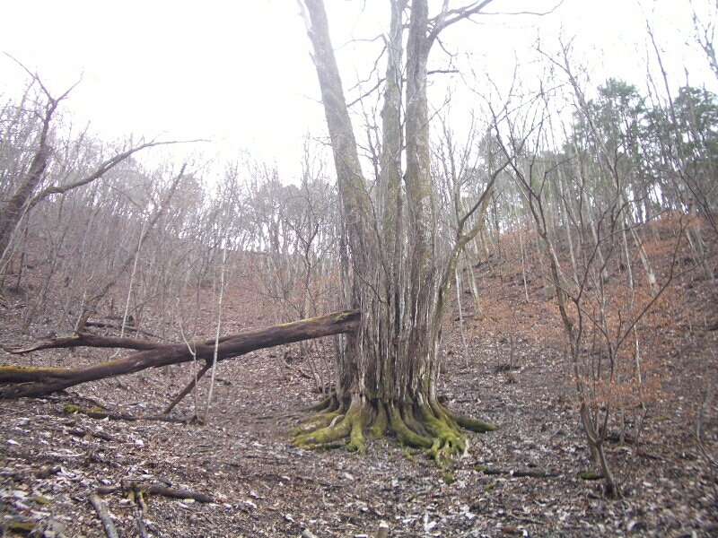 b0172805_10175732.jpg