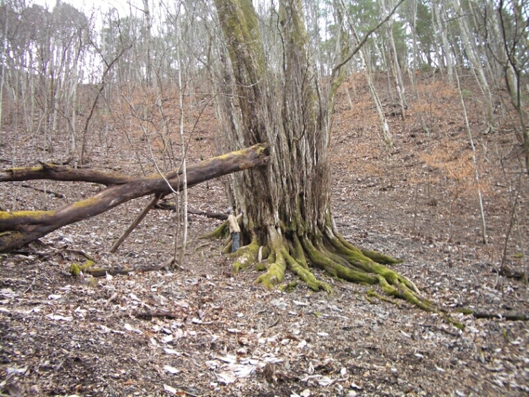 b0172805_9104233.jpg