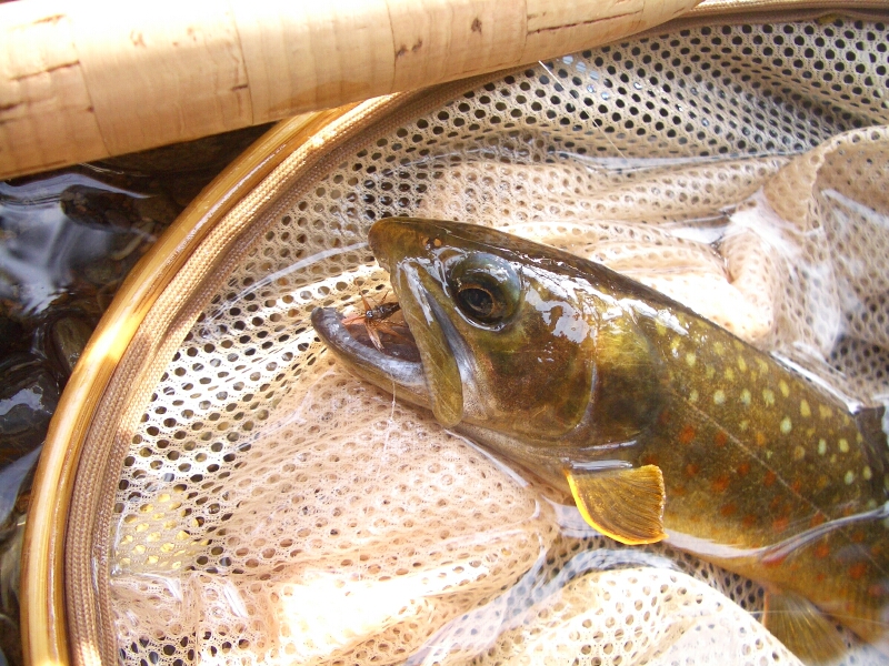 b0172805_913253.jpg