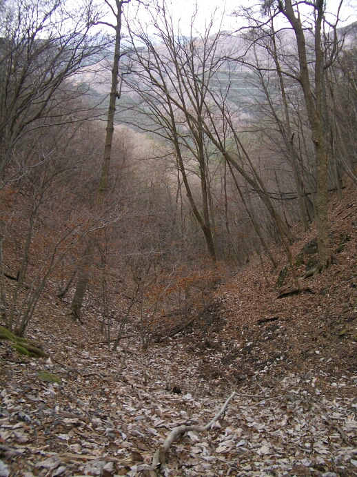 b0172805_99378.jpg