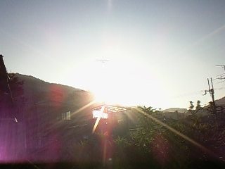 c0126205_1373978.jpg