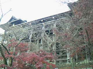 c0126205_137399.jpg