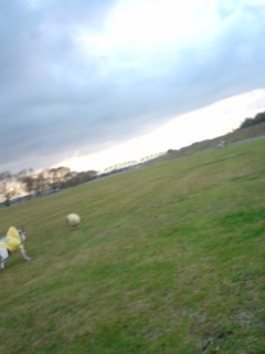 b0085408_19494136.jpg