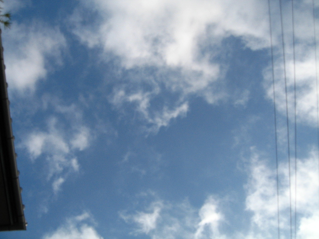 d0150309_19223943.jpg