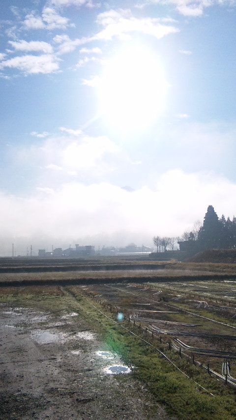 f0121909_9325573.jpg