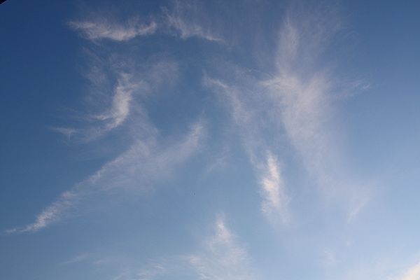 f0162319_1043293.jpg