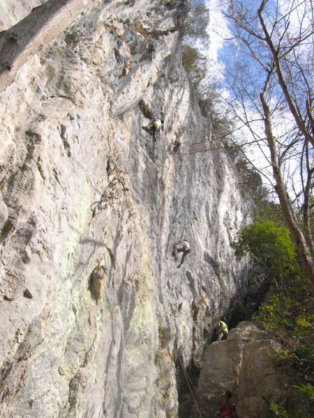a0149524_23228.jpg