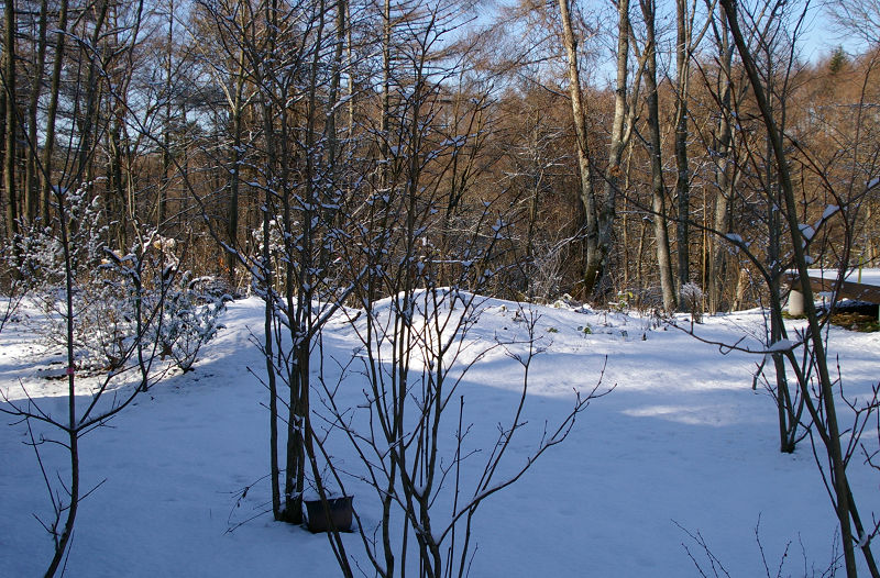 e0136424_10392100.jpg