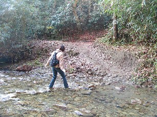 f0002833_022386.jpg