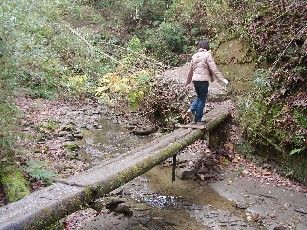 f0002833_19192961.jpg