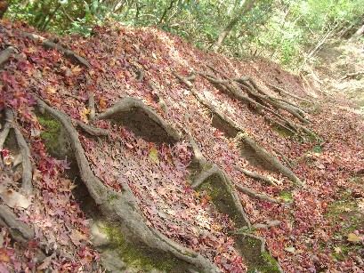 f0002833_1926598.jpg