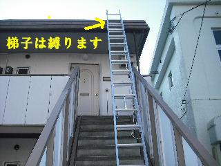 f0031037_19133924.jpg