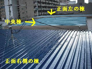 f0031037_19155925.jpg