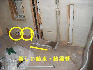 f0031037_1961120.jpg