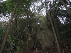 c0077338_6312876.jpg