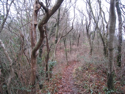 c0077338_6314151.jpg