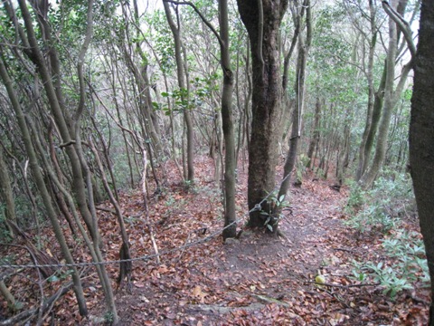 c0077338_6315787.jpg