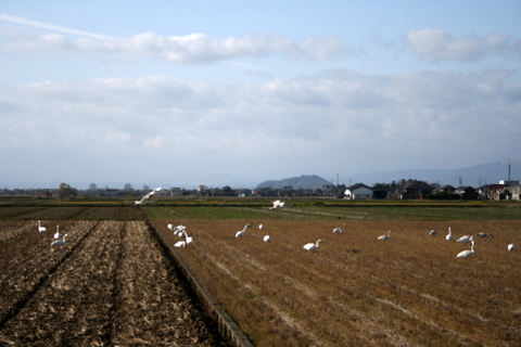 c0156438_18331747.jpg