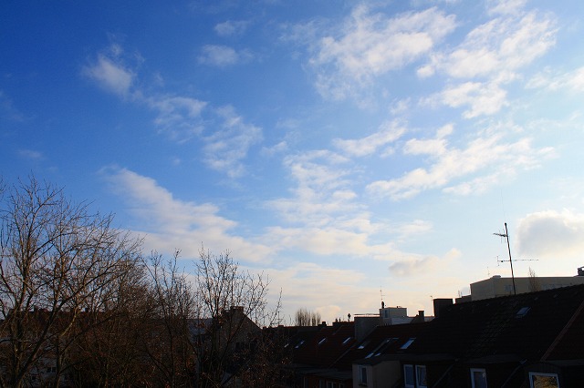 c0153740_414683.jpg