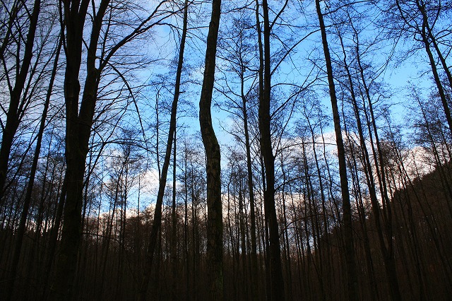 c0153740_421645.jpg