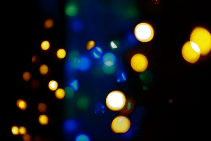 c0202541_2205861.jpg