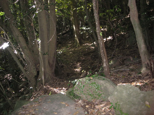 c0179351_18421058.jpg