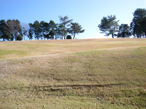 c0179351_1851756.jpg