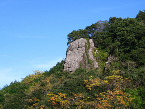 c0179351_18524812.jpg