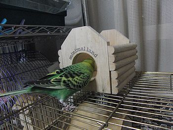 f0196665_23415588.jpg