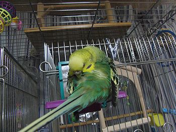 f0196665_23591540.jpg