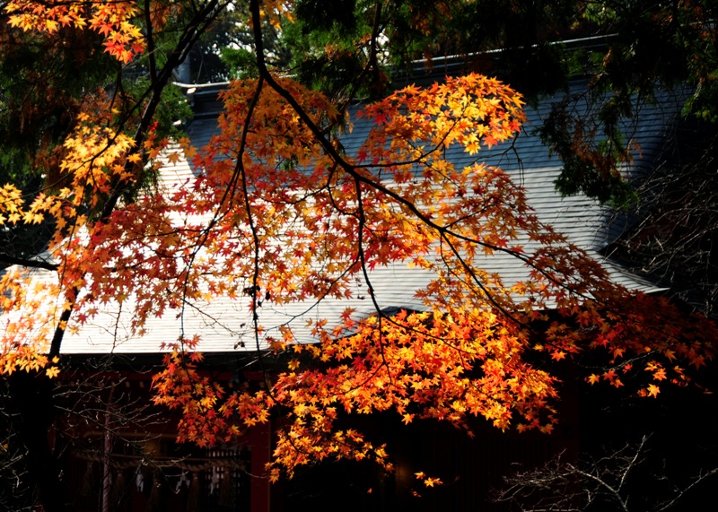 b0131167_2215923.jpg